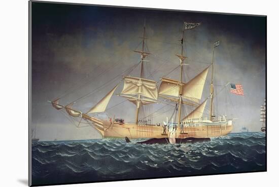 The 'Catalpa' with Whale-American School-Mounted Giclee Print