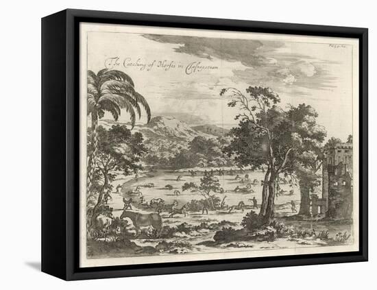 The Catching of Horses in Jafnapatnam on the Island of Ceylon-null-Framed Stretched Canvas