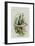 The Caterpillar-John Tenniel-Framed Giclee Print