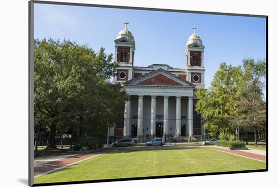 The Cathedral Basilica of the Immaculate Conception, Seat of the Archdiocese of Mobile, Alabama-Michael Runkel-Mounted Photographic Print