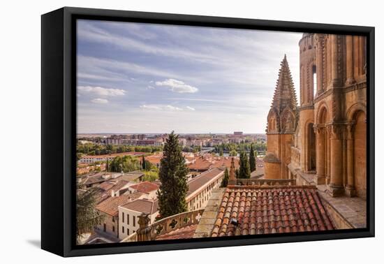 The Cathedral in Salamanca, UNESCO World Heritage Site, Castile and Leon, Spain, Europe-Julian Elliott-Framed Premier Image Canvas