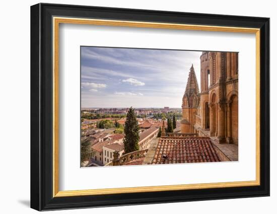 The Cathedral in Salamanca, UNESCO World Heritage Site, Castile and Leon, Spain, Europe-Julian Elliott-Framed Photographic Print