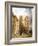 The Cathedral of Notre Dame, 1836-Thomas Shotter Boys-Framed Giclee Print