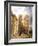 The Cathedral of Notre Dame, 1836-Thomas Shotter Boys-Framed Giclee Print