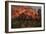 The Cathedral of Rheims During the Bombardment by German Artillery, 19th September, 1914-null-Framed Giclee Print