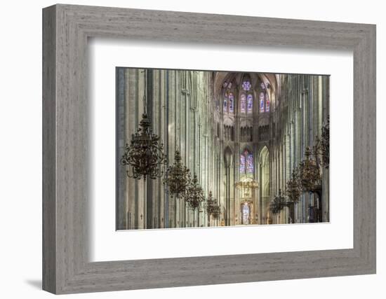 The cathedral of Saint Etienne, Bourges, UNESCO World Heritage Site, Cher, France, Europe-Julian Elliott-Framed Photographic Print