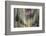 The cathedral of Saint Etienne, Bourges, UNESCO World Heritage Site, Cher, France, Europe-Julian Elliott-Framed Photographic Print