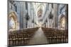The cathedral of Saint Etienne, Bourges, UNESCO World Heritage Site, Cher, France, Europe-Julian Elliott-Mounted Photographic Print