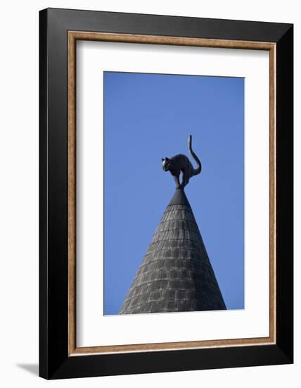 The Cats House, Riga, Latvia, Europe-Doug Pearson-Framed Photographic Print