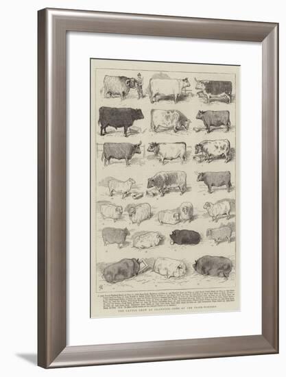The Cattle Show at Islington, Some of the Prize-Winners-Alfred Chantrey Corbould-Framed Giclee Print