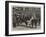 The Cattle Show at the Agricultural Hall, Judging the Herefords-William Small-Framed Giclee Print