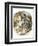 The Caucus-Race-John Teniel-Framed Giclee Print