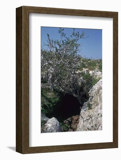 The Cave of Eileithyia-Unknown-Framed Photographic Print