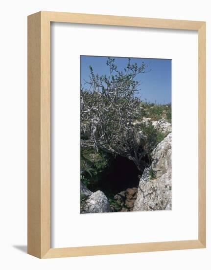 The Cave of Eileithyia-Unknown-Framed Photographic Print