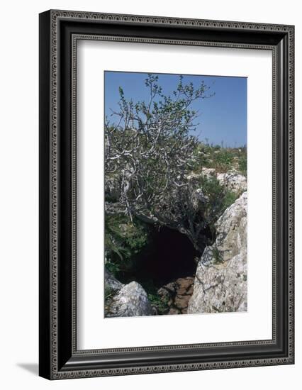 The Cave of Eileithyia-Unknown-Framed Photographic Print