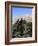 The Cedar Trees of Bcharre, Qadisha Valley, Lebanon-Wendy Connett-Framed Photographic Print