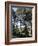 The Cedar Trees of Bcharre, Qadisha Valley, Lebanon-Wendy Connett-Framed Photographic Print