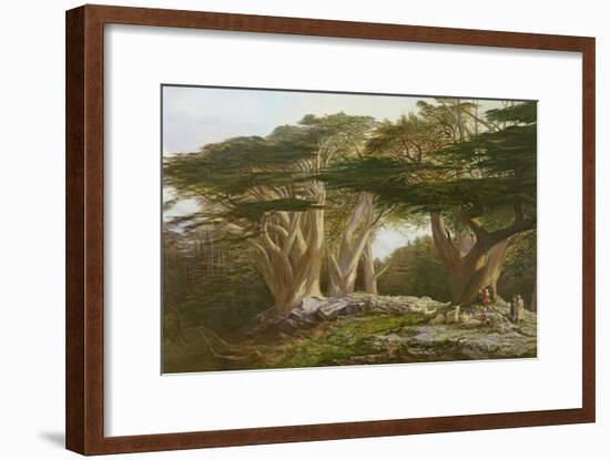 The Cedars of Lebanon, 1861-Edward Lear-Framed Giclee Print