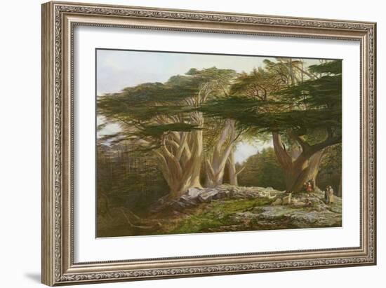 The Cedars of Lebanon, 1861-Edward Lear-Framed Giclee Print