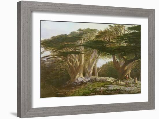 The Cedars of Lebanon, 1861-Edward Lear-Framed Giclee Print