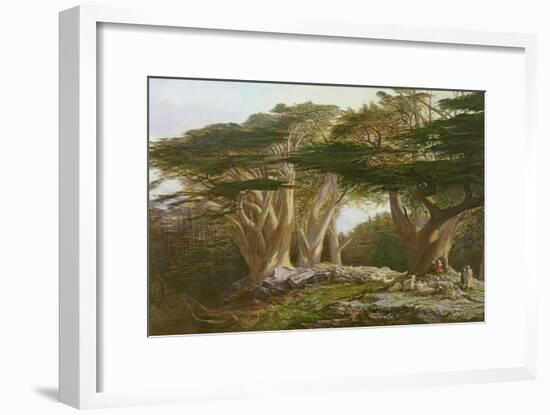 The Cedars of Lebanon, 1861-Edward Lear-Framed Giclee Print