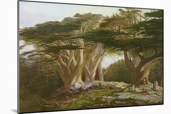 The Cedars of Lebanon, 1861-Edward Lear-Mounted Giclee Print