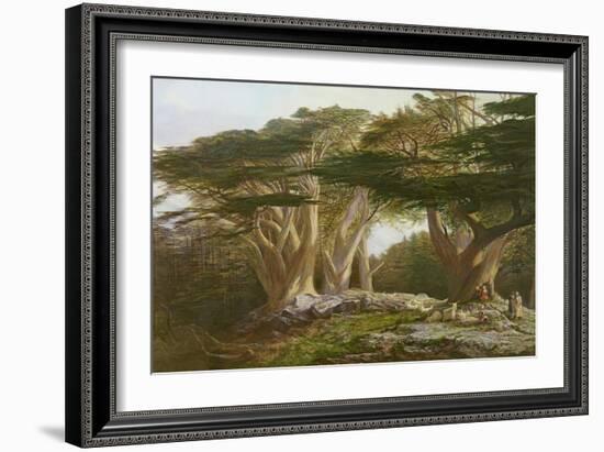 The Cedars of Lebanon, 1861-Edward Lear-Framed Giclee Print