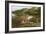 The Cedars of Lebanon, 1861-Edward Lear-Framed Giclee Print