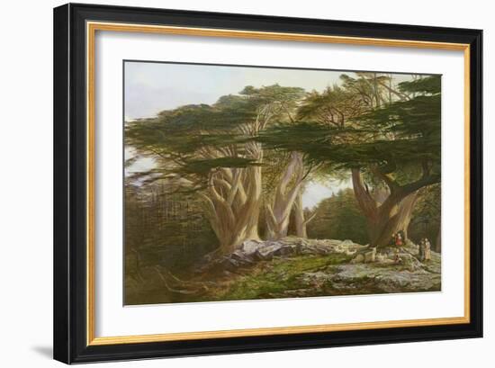 The Cedars of Lebanon, 1861-Edward Lear-Framed Giclee Print