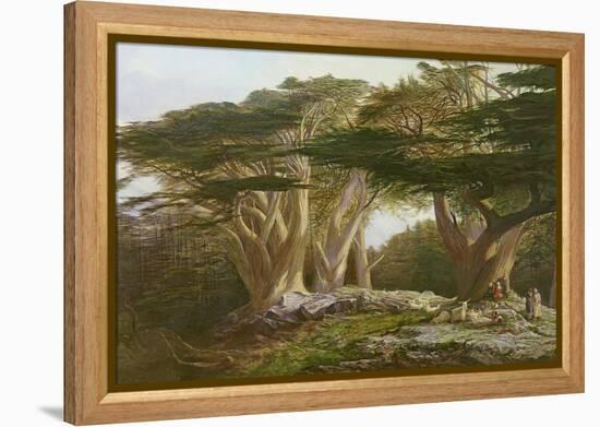 The Cedars of Lebanon, 1861-Edward Lear-Framed Premier Image Canvas