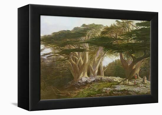 The Cedars of Lebanon, 1861-Edward Lear-Framed Premier Image Canvas