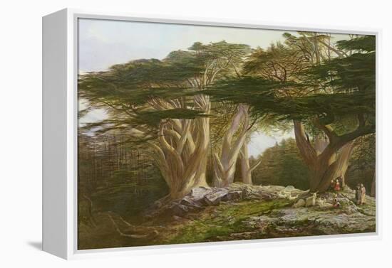 The Cedars of Lebanon, 1861-Edward Lear-Framed Premier Image Canvas