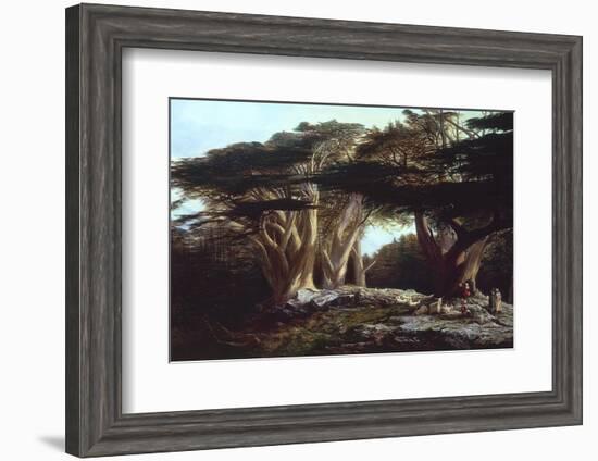 The Cedars of Lebanon-Edward Lear-Framed Photographic Print