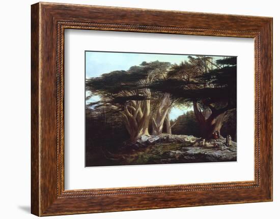 The Cedars of Lebanon-Edward Lear-Framed Photographic Print