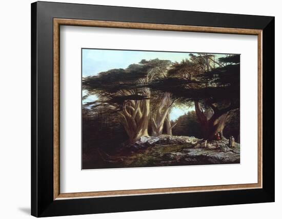 The Cedars of Lebanon-Edward Lear-Framed Photographic Print