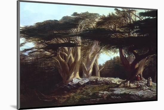 The Cedars of Lebanon-Edward Lear-Mounted Photographic Print