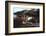 The Cedars of Lebanon-Edward Lear-Framed Photographic Print