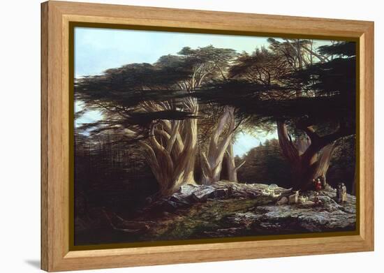 The Cedars of Lebanon-Edward Lear-Framed Premier Image Canvas