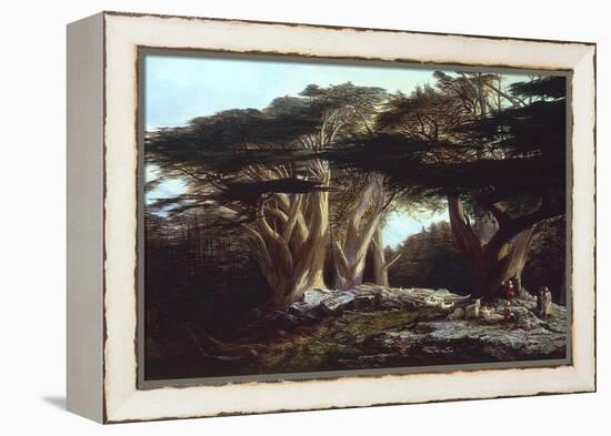 The Cedars of Lebanon-Edward Lear-Framed Premier Image Canvas