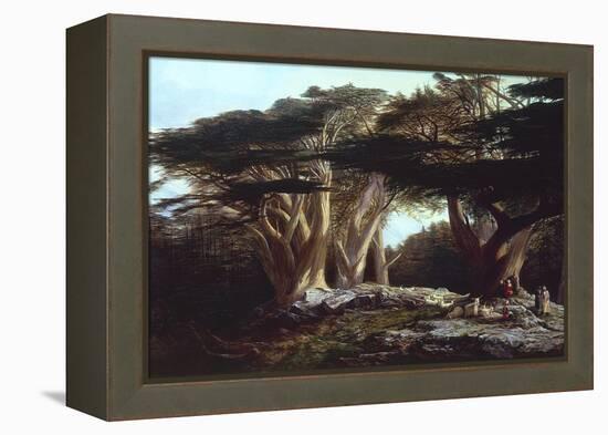 The Cedars of Lebanon-Edward Lear-Framed Premier Image Canvas