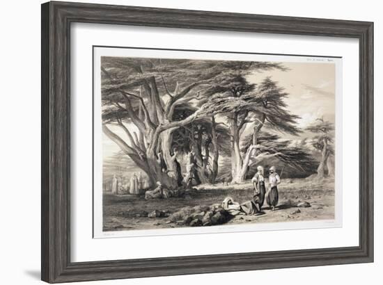 The Cedars of Lebanon-Prosper Georges Antoine Marilhat-Framed Giclee Print