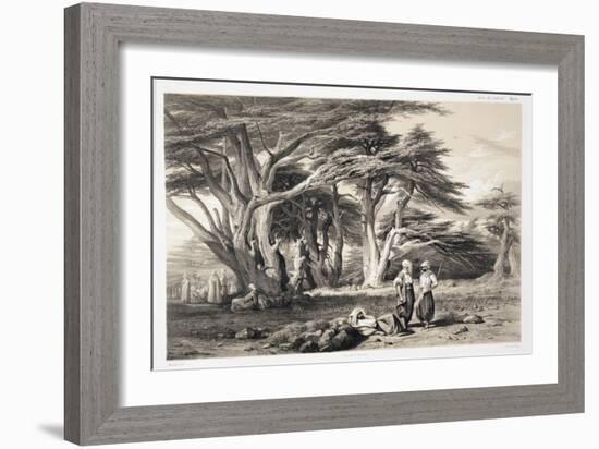 The Cedars of Lebanon-Prosper Georges Antoine Marilhat-Framed Giclee Print