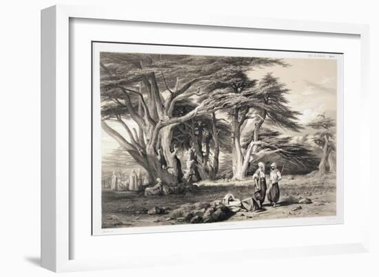 The Cedars of Lebanon-Prosper Georges Antoine Marilhat-Framed Giclee Print