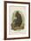 The Celebean Black Baboon-null-Framed Giclee Print