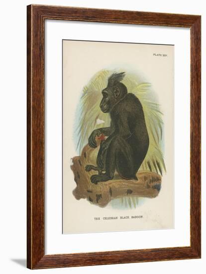 The Celebean Black Baboon-null-Framed Giclee Print