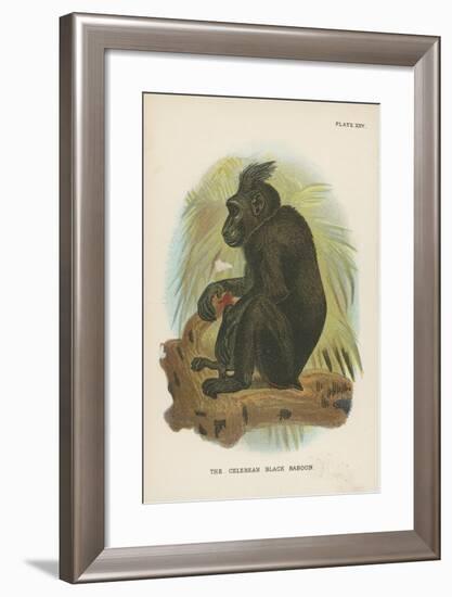 The Celebean Black Baboon-null-Framed Giclee Print
