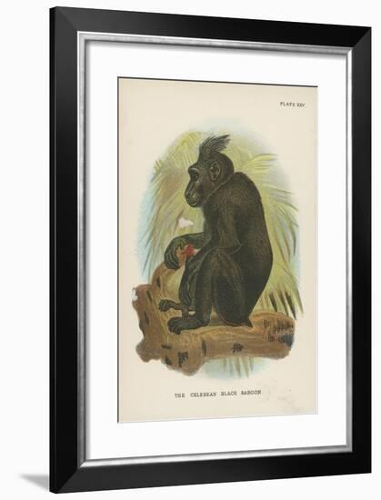 The Celebean Black Baboon-null-Framed Giclee Print