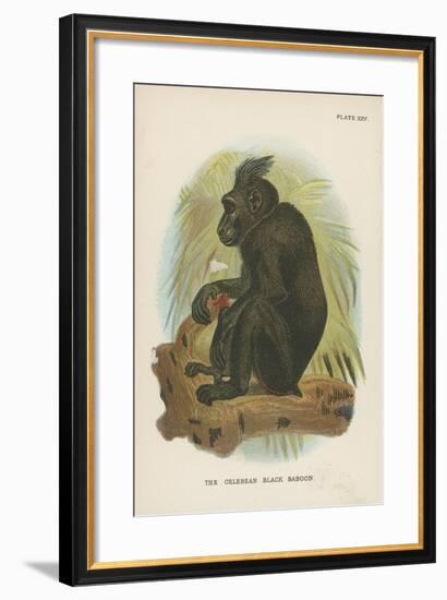 The Celebean Black Baboon-null-Framed Giclee Print