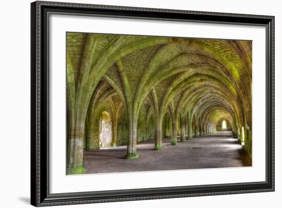 The Cellarium-Miles Ertman-Framed Photographic Print