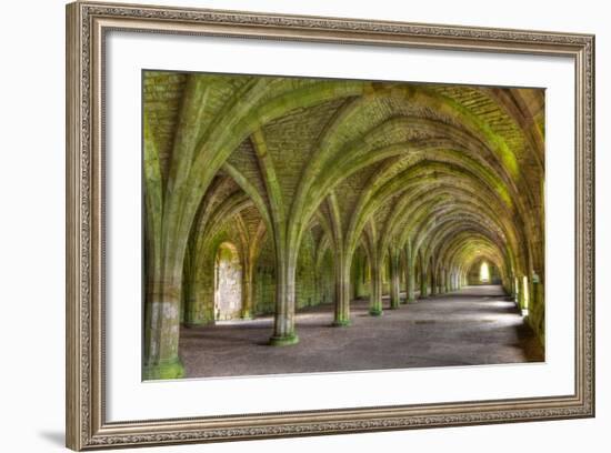 The Cellarium-Miles Ertman-Framed Photographic Print